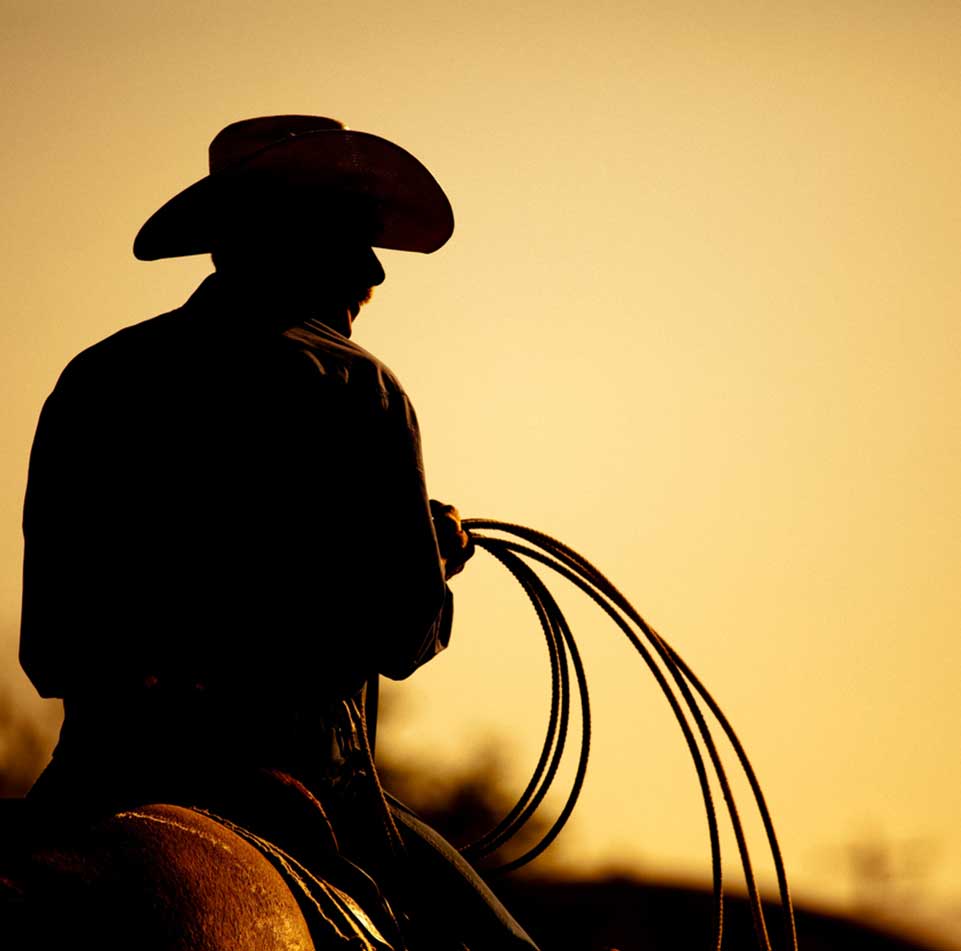 Brawley Cattle Call Rodeo & Parade